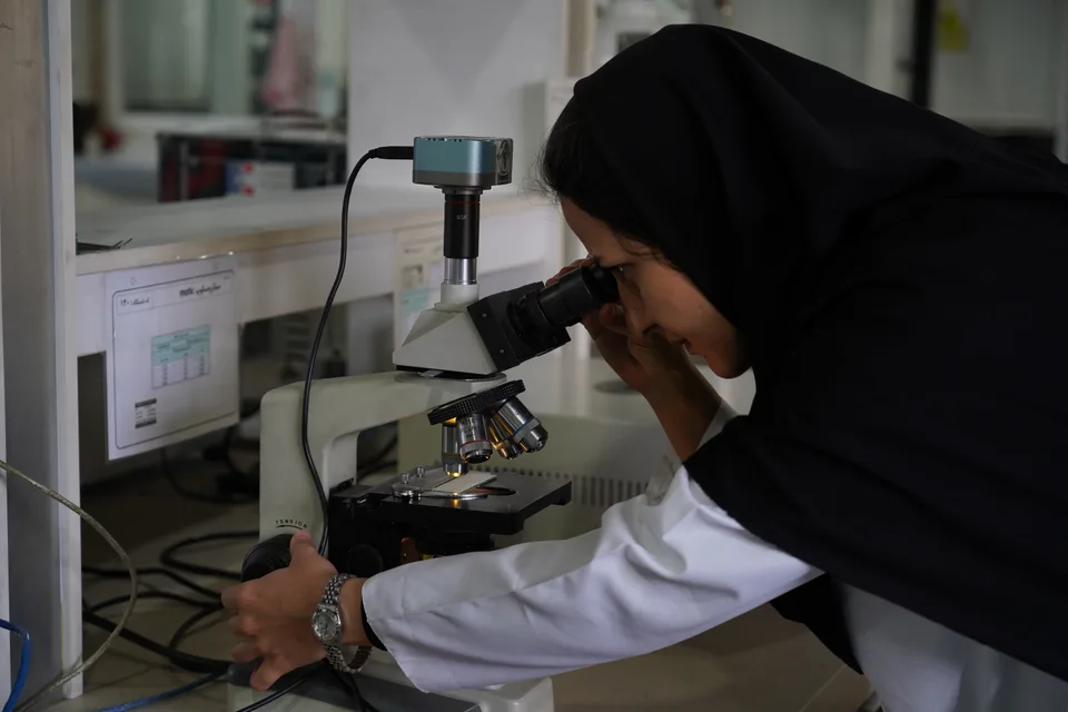 محیط کارخانه تولید لوله پلی اتیلن